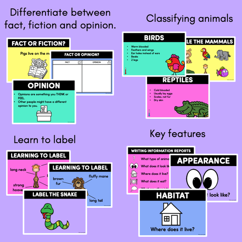 Resource preview 3 for Informational Writing PowerPoint - Informative Texts K-2 Lessons