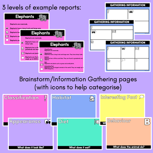 Resource preview 4 for Informational Writing PowerPoint - Informative Texts K-2 Lessons