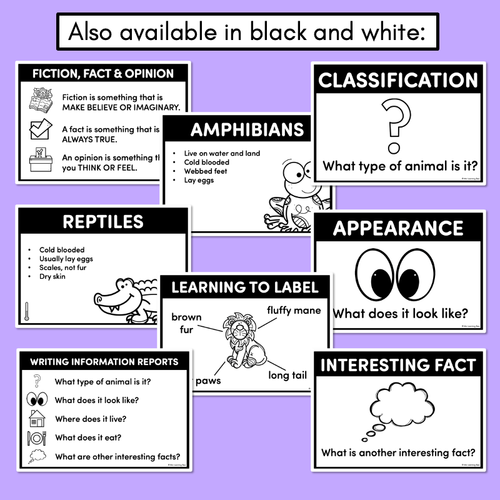 Resource preview 2 for Informational Writing Posters