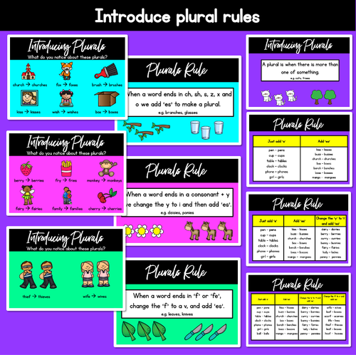 Resource preview 2 for Plural Rule PowerPoint Slides