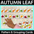 1 for Leaf Pattern Cards