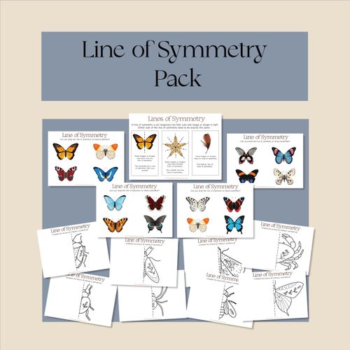 Resource preview 1 for Line of Symmetry Pack