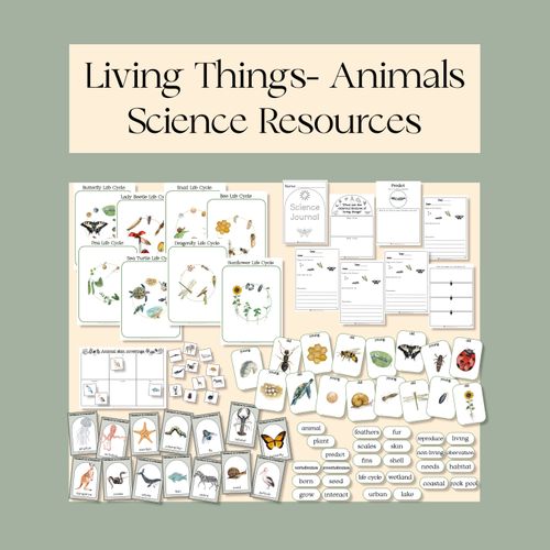 Resource preview 1 for Living Things Science Resource Pack