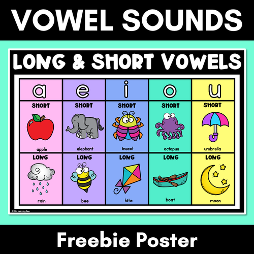 Resource preview 1 for Long and Short Vowel Sounds POSTER