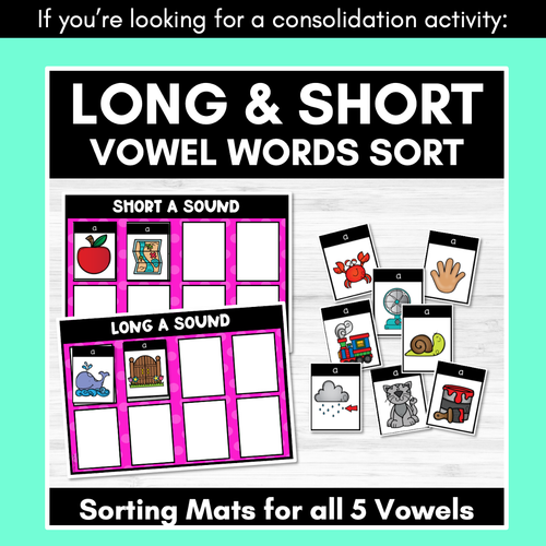 Resource preview 2 for Long and Short Vowel Sounds POSTER