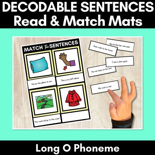 Resource preview 11 for Long Vowel Decodable Sentence Activities COMPLETE BUNDLE