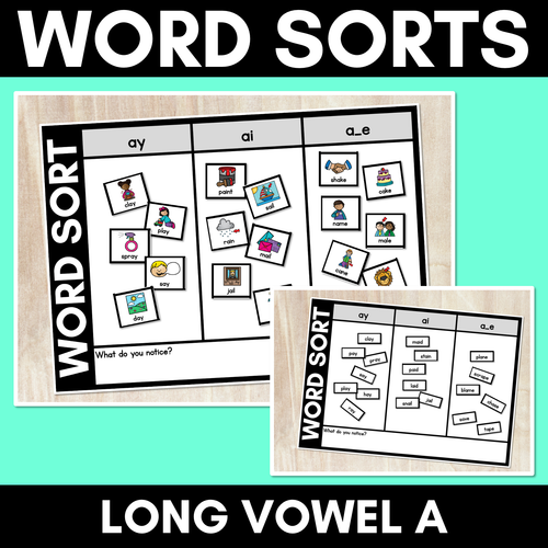 Resource preview 1 for LONG VOWEL A WORD SORT