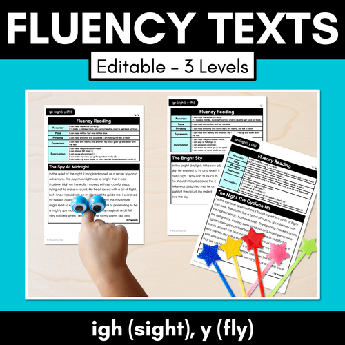 Resource preview 1 for Editable Differentiated Decodable Fluency Texts - igh (sight), y (fly)