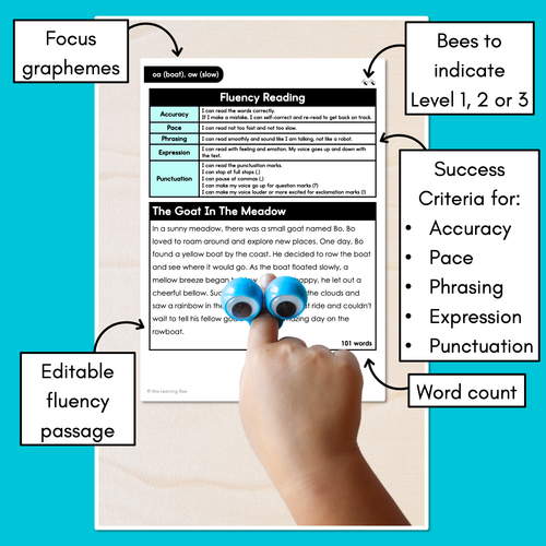 Resource preview 3 for Editable Differentiated Decodable Fluency Texts - oa (boat), ow (slow)