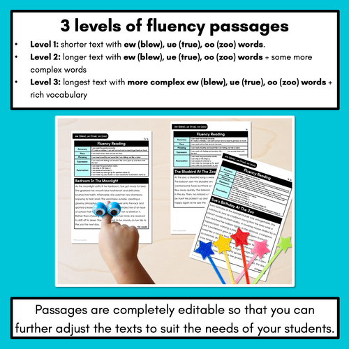 Resource preview 2 for Editable Differentiated Decodable Fluency Texts - ew (blew), ue (true), oo (zoo)