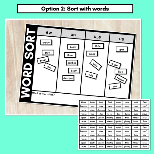 Resource preview 3 for LONG VOWEL U WORD SORT