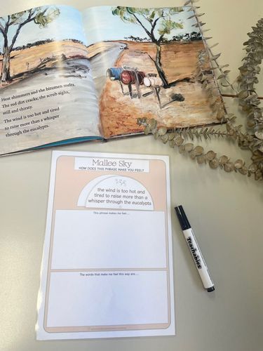 Resource preview 11 for Mallee Sky Activity Pack