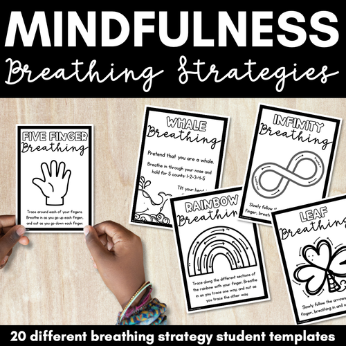 Resource preview 5 for Self Regulation Strategies - Rainbow Bundle