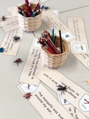 Resource preview 3 for Minibeast Classification Cards and Writing Prompts