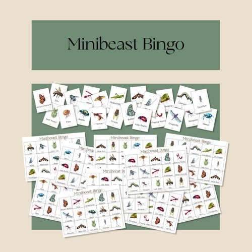 Resource preview 1 for Minibeast Bingo