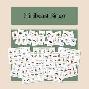 Minibeast Bingo