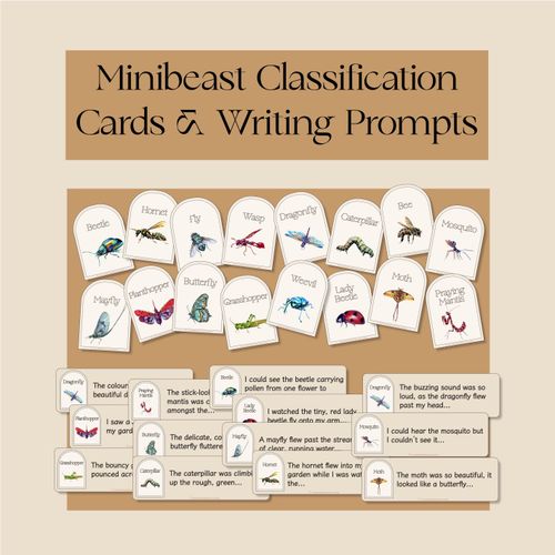 Resource preview 1 for Minibeast Classification Cards and Writing Prompts