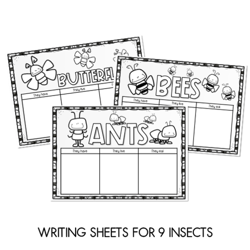 Resource preview 3 for Minibeasts Heads and Tails Insect - Craft and Writing Sheets - Book Week 2019