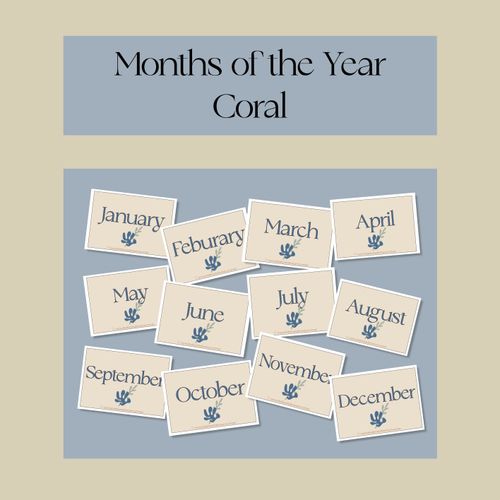 Resource preview 1 for Months of the Year Coral