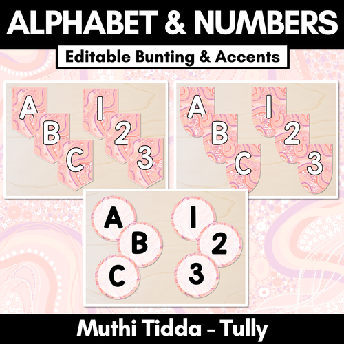 Resource preview 1 for Alphabet & Numbers Editable Bunting & Accents - Muthi Tidda - Tully