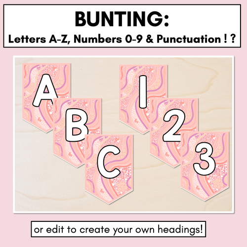 Resource preview 2 for Alphabet & Numbers Editable Bunting & Accents - Muthi Tidda - Tully