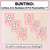 2 for Alphabet & Numbers Editable Bunting & Accents - Muthi Tidda - Tully