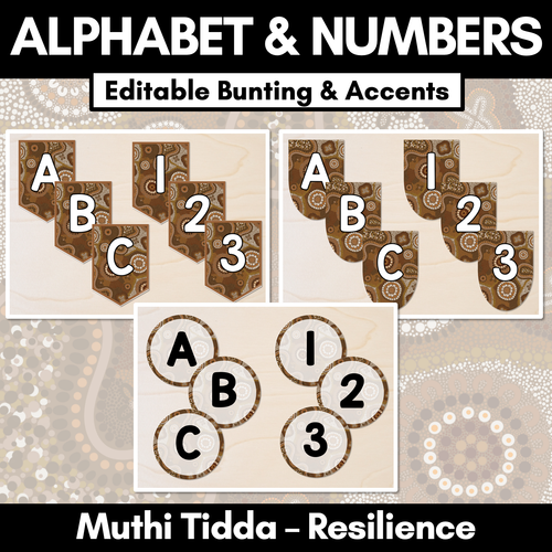 Resource preview 1 for Alphabet & Numbers Editable Bunting & Accents - Muthi Tidda - Resilience