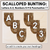 3 for Alphabet & Numbers Editable Bunting & Accents - Muthi Tidda - Resilience