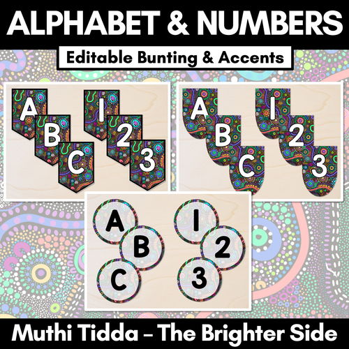 Resource preview 1 for Alphabet & Numbers Editable Bunting & Accents - Muthi Tidda - The Brighter Side