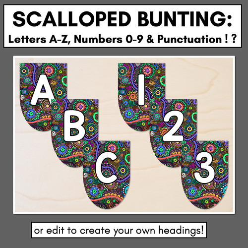 Resource preview 3 for Alphabet & Numbers Editable Bunting & Accents - Muthi Tidda - The Brighter Side