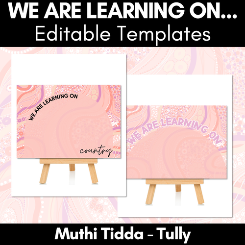 Resource preview 1 for We Are Learning On Posters - Muthi Tidda - Tully