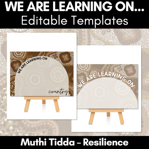 Resource preview 1 for We Are Learning On Posters - Muthi Tidda - Resilience