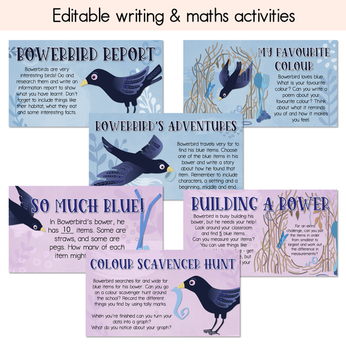 Resource preview 2 for Bowerbird Blues National Simultaneous Storytime - Writing, Maths & Design Prompt EDITABLE SLIDES