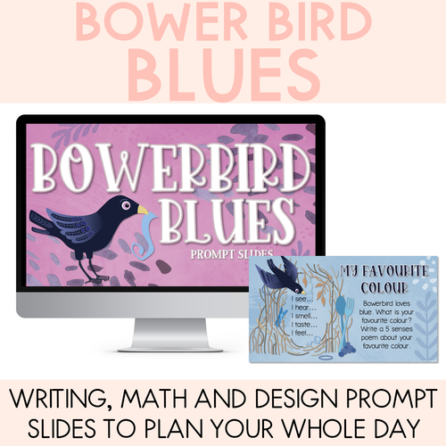 Resource preview 1 for Bowerbird Blues National Simultaneous Storytime - Writing, Maths & Design Prompt EDITABLE SLIDES