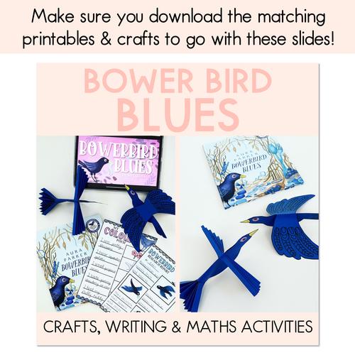 Resource preview 5 for Bowerbird Blues National Simultaneous Storytime - Writing, Maths & Design Prompt EDITABLE SLIDES