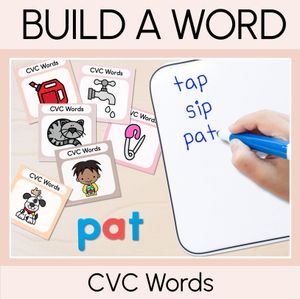 NEUTRAL CVC Word Building Cards - Decodable Word Phonics Task Cards