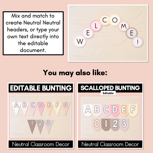 Resource preview 3 for Editable Alphabet & Number Accents - Neutral Classroom Decor