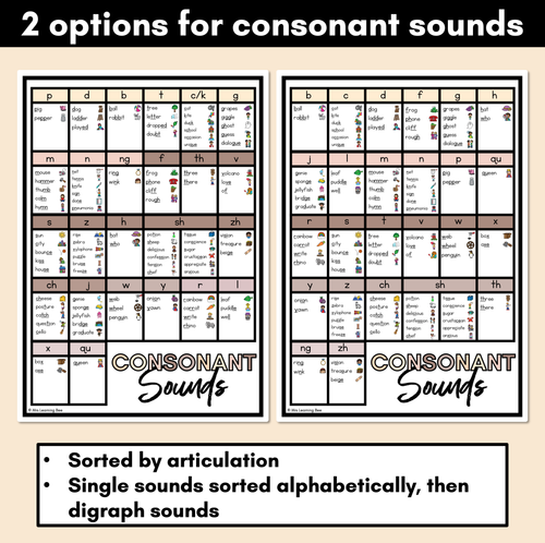 Resource preview 3 for Phonics Sound Charts - Mini Sound Wall -NEUTRAL