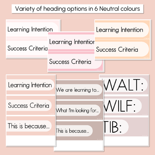 Resource preview 3 for Learning Intentions & Success Criteria - LISC Posters - Neutral Classroom Decor