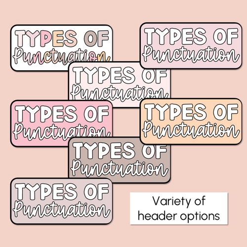 Resource preview 4 for Punctuation Posters - Neutral Classroom Decor