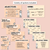 3 for Parts of Speech Posters - Neutral Classroom Decor