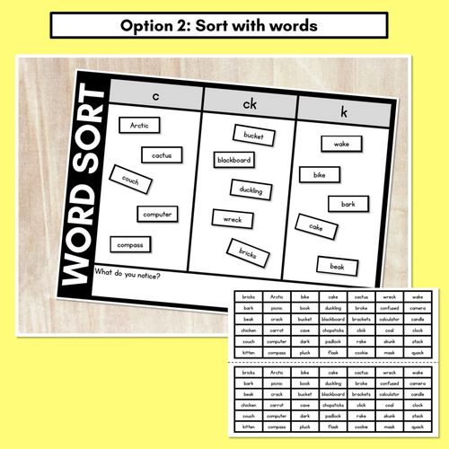 Resource preview 3 for CONSONANT PHONEME C WORD SORT