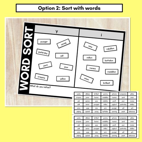 Resource preview 3 for CONSONANT PHONEME Y WORD SORT