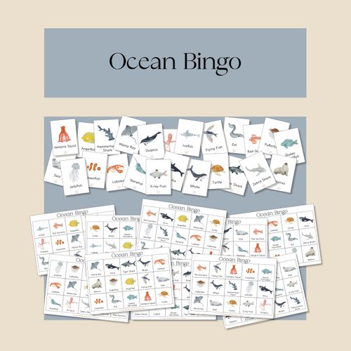 Resource preview 1 for Ocean Bingo