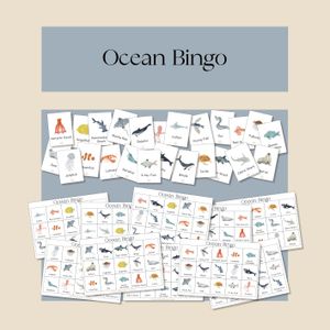 Ocean Bingo