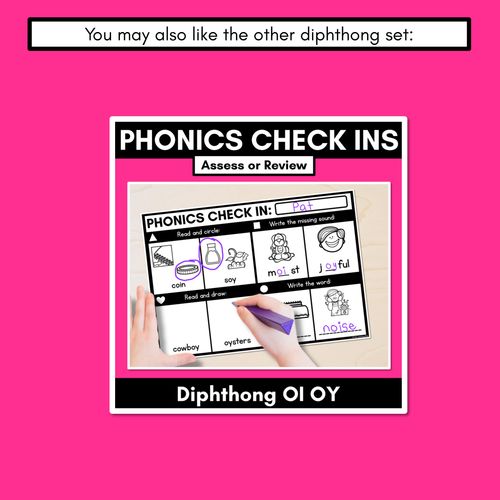 Resource preview 4 for PHONICS CHECK INS - Diphthong OU OW - No Prep Phonics Assessments