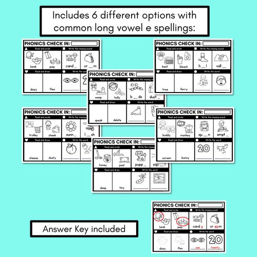 Resource preview 3 for PHONICS CHECK INS - Long Vowel E - No Prep Phonics Assessments