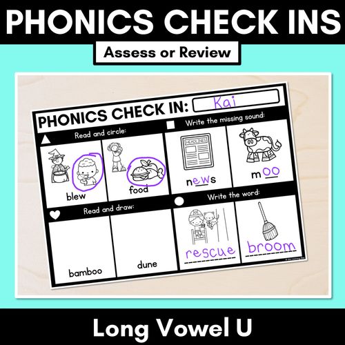 Resource preview 2 for Phonics Check In Assessments - Long Vowels Bundle