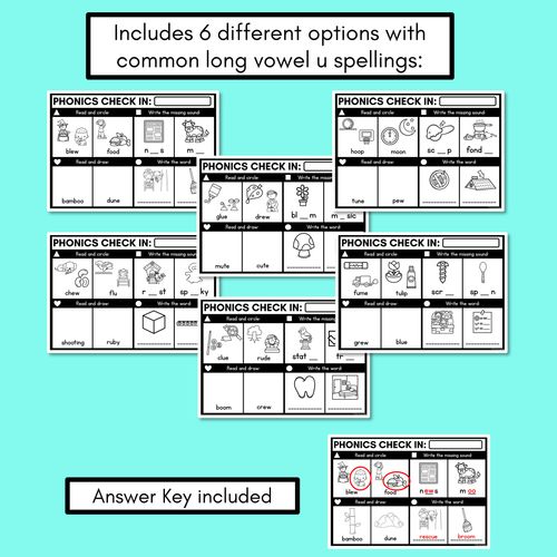 Resource preview 3 for PHONICS CHECK INS - Long Vowel U - No Prep Phonics Assessments