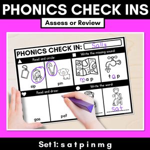 PHONICS CHECK INS - CVC Words & CVCC CCVC Words Set 1 - No Prep Phonics Assessments